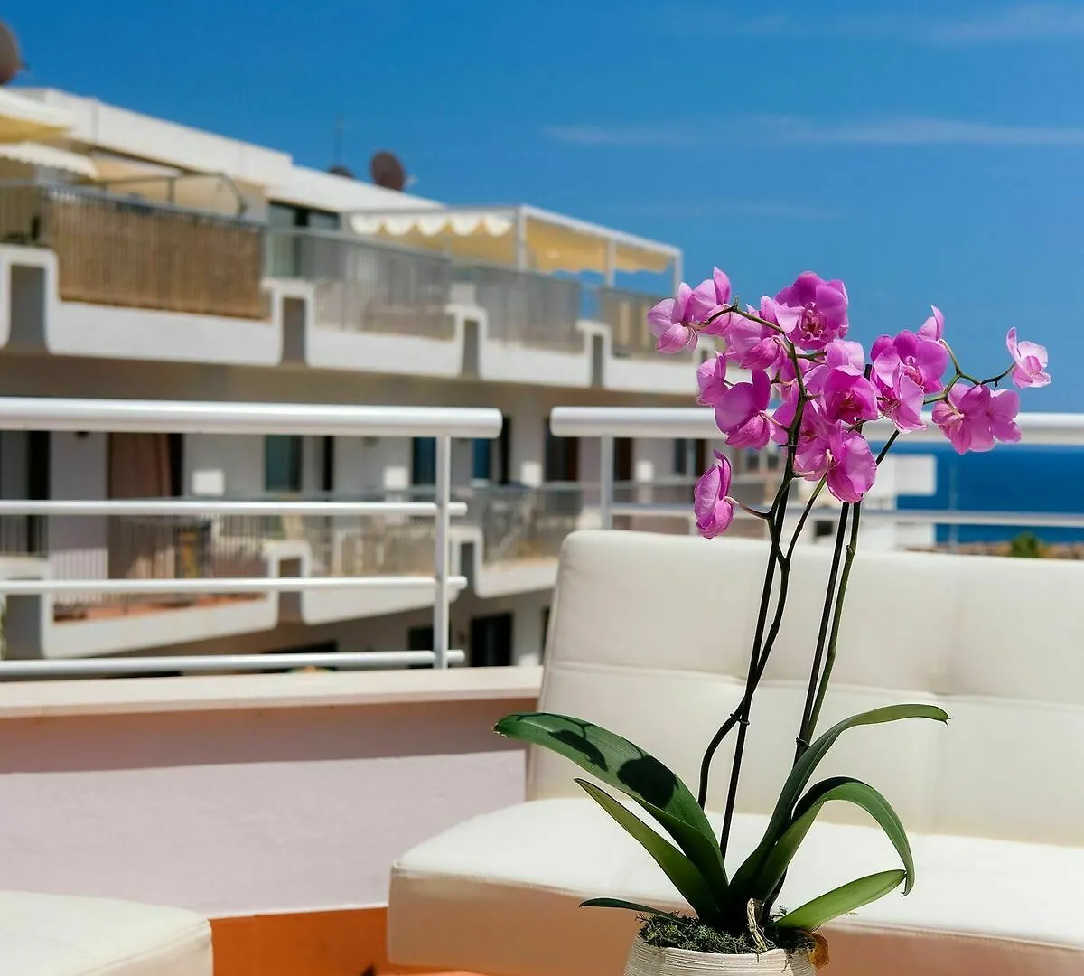 S'Alamera Suites Hotel & Apartments 산타 에우랄리아 데 리오